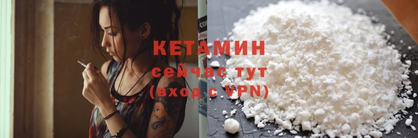 гашик Ельня
