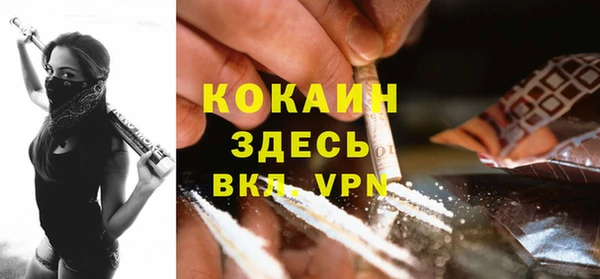 гашик Ельня