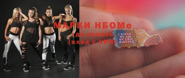 стаф Гусь-Хрустальный