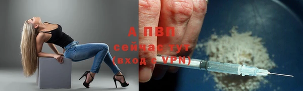 стафф Дмитровск