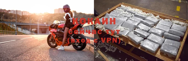 дмт Россошь