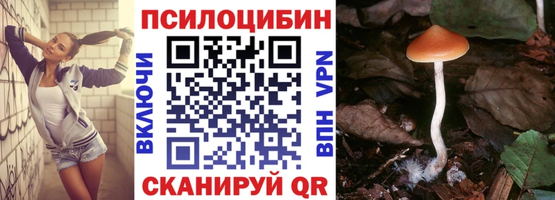 кракен ONION  Великий Устюг  Псилоцибиновые грибы GOLDEN TEACHER 