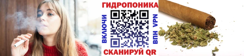 omg как войти  Великий Устюг  Бошки марихуана Amnesia 